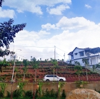 Sở Hữu Ngay Lô Đất Đẹp Vị Trí Đắc Địa Tại Xã Lộc Đức, Huyện Bảo Lâm, Lâm Đồng